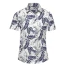 Cross-border factory Direct sales 2025 new men's casual 3D digital printed short-sleeved shirts, men's Hawaiian shirts details Picture